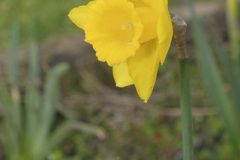 DiadaMulher_20260308_060