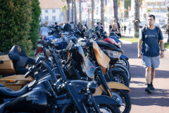 12-IMG_7951