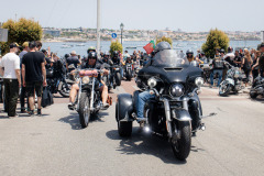 126-IMG_3284