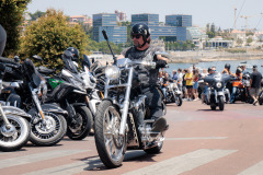135-IMG_3335