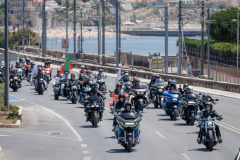 65-IMG_2597