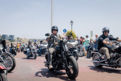 79-IMG_2919