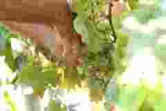 WhatsApp Image 2026-03-06 at 15.23.19(4)