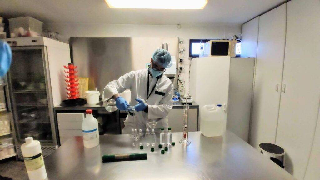 Farmacia de Alvide
